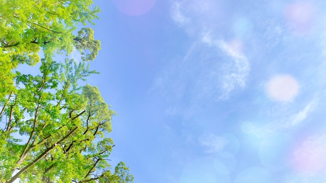 旅立ちを感じる青空